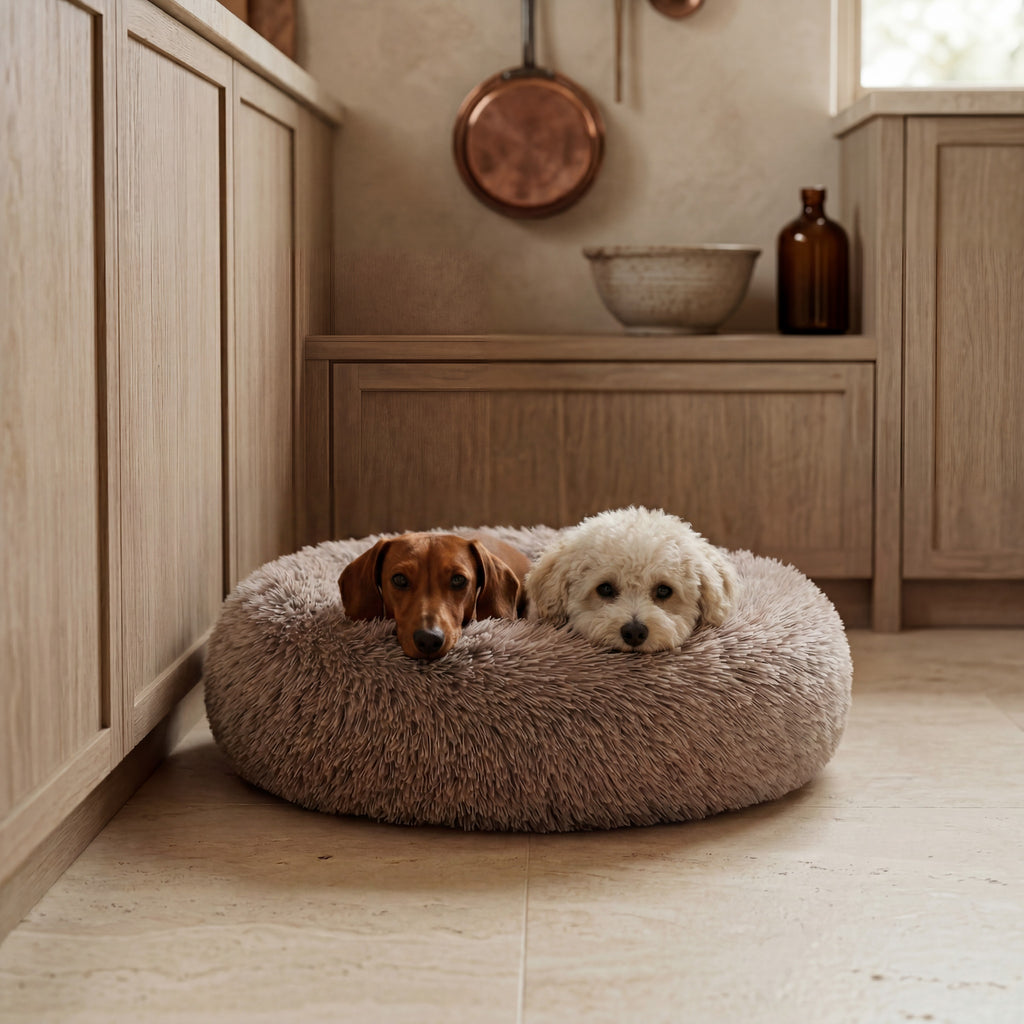 donut bed